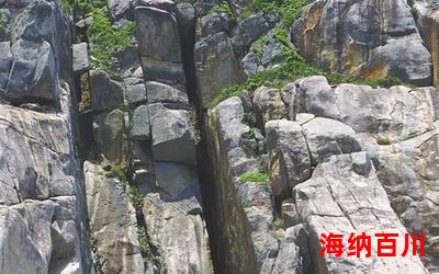 怪石嶙峋免费阅读大结局 - 怪石嶙峋在线阅读完整版