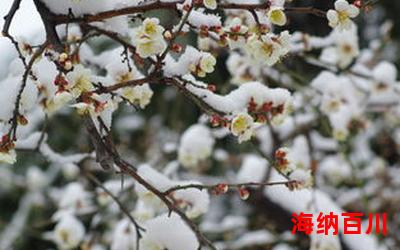 傲雪寒梅_傲雪寒梅免费阅读全文_傲雪寒梅最新章节目录